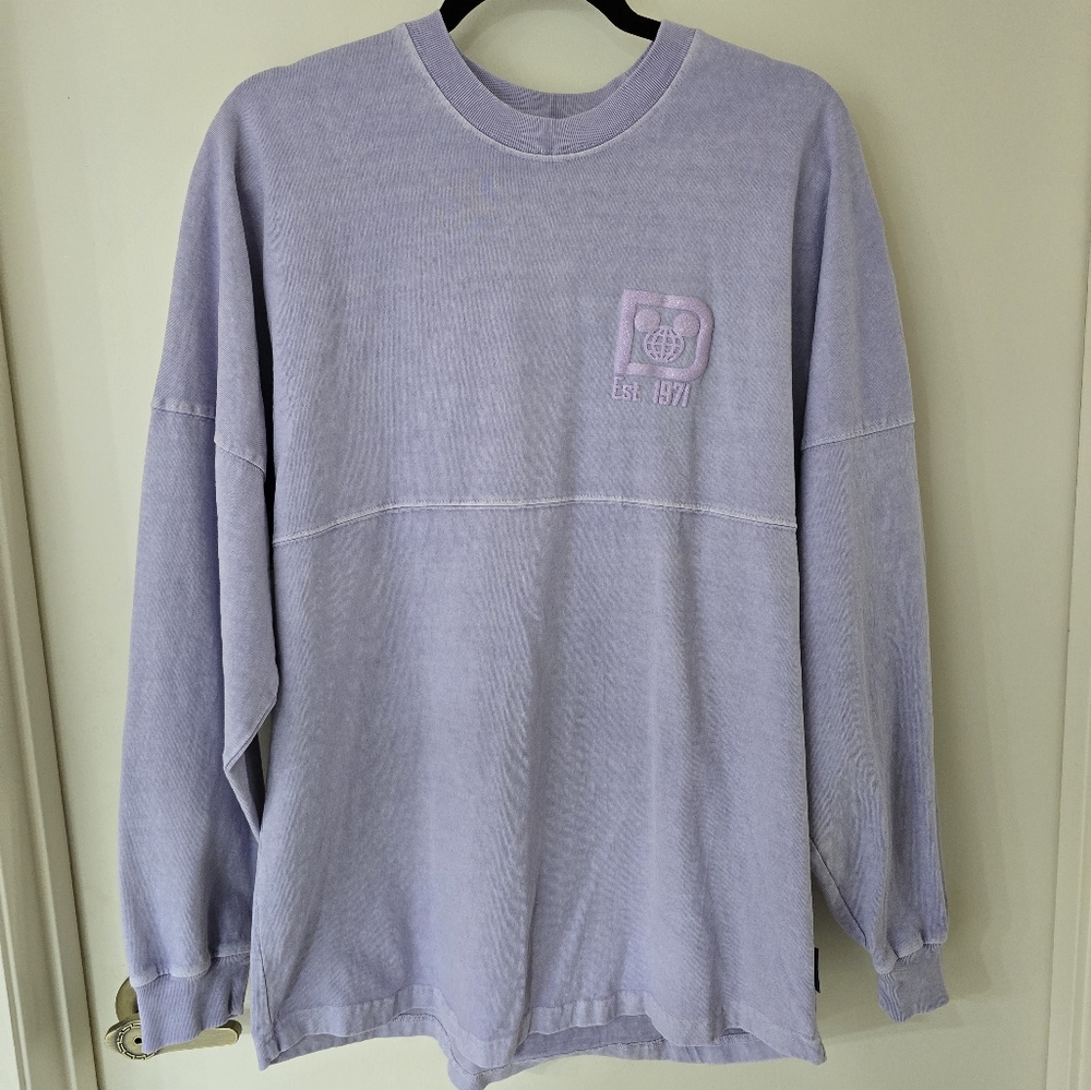 Walt Disney World Spirit Oversized Jersey Small